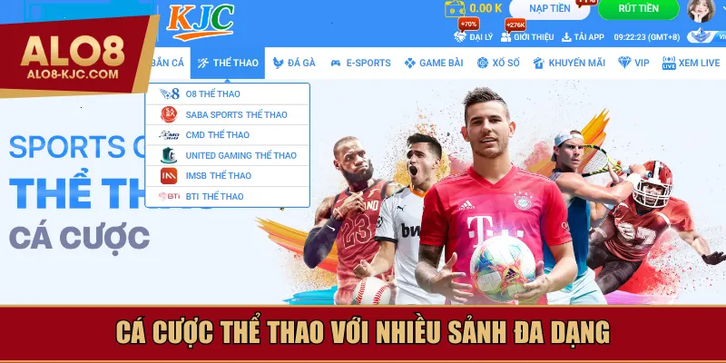 Cá cược thể thao với nhiều sảnh đa dạng