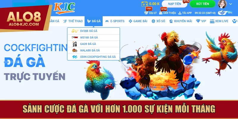 Sảnh cược đá gà với hơn 1.000 sự kiện mỗi tháng