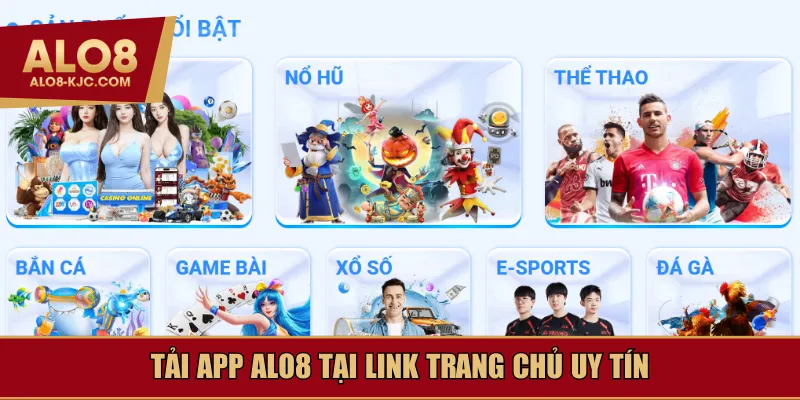 Tải app Alo8 tại link trang chủ uy tín